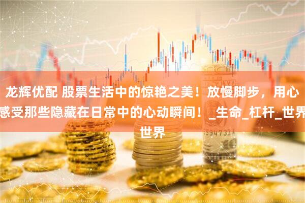 龙辉优配 股票生活中的惊艳之美！放慢脚步，用心感受那些隐藏在日常中的心动瞬间！_生命_杠杆_世界