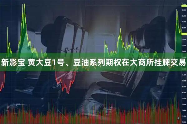 新影宝 黄大豆1号、豆油系列期权在大商所挂牌交易