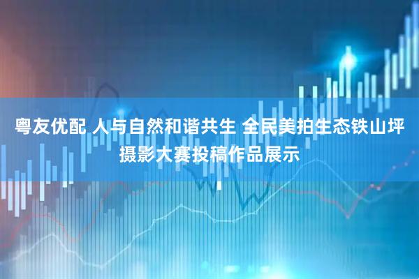 粤友优配 人与自然和谐共生 全民美拍生态铁山坪摄影大赛投稿作品展示
